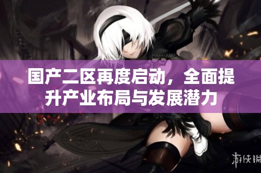 国产二区再度启动，全面提升产业布局与发展潜力