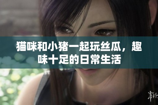 猫咪和小猪一起玩丝瓜，趣味十足的日常生活