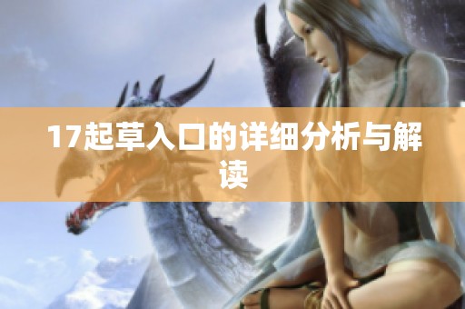 17起草入口的详细分析与解读