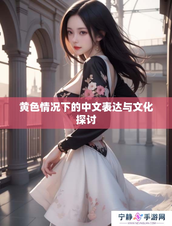 黄**况下的中文表达与文化探讨