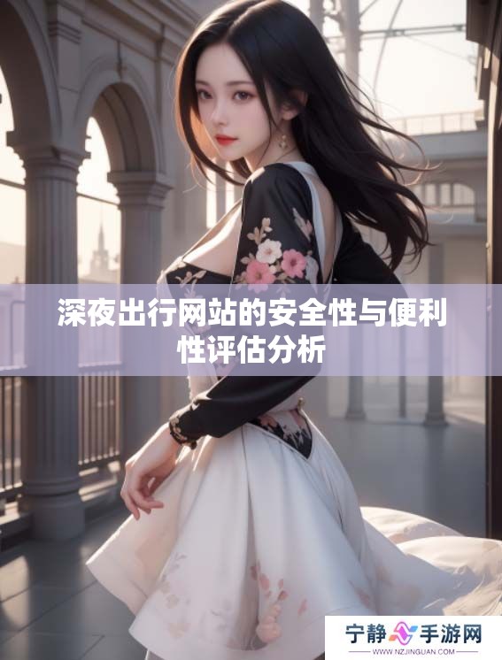 深夜出行网站的安全性与便利性评估分析