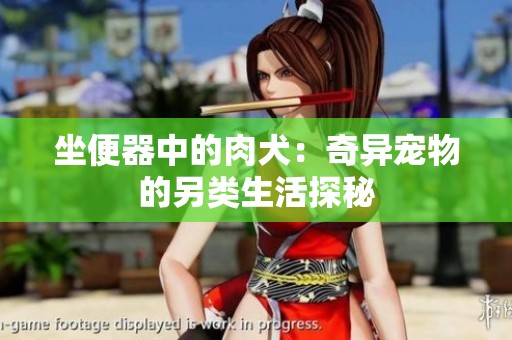 坐便器中的肉犬：奇异宠物的另类生活探秘