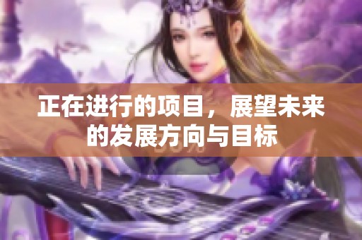 正在进行的项目，展望未来的发展方向与目标