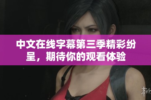 中文在线字幕第三季精彩纷呈，期待你的观看体验