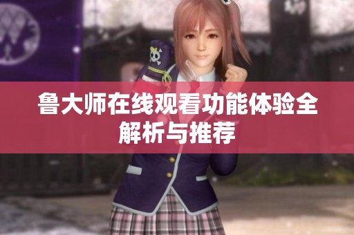 鲁大师在线观看功能体验全解析与推荐