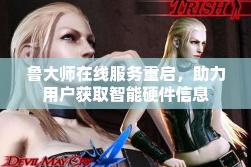 鲁大师在线服务重启，助力用户获取智能硬件信息