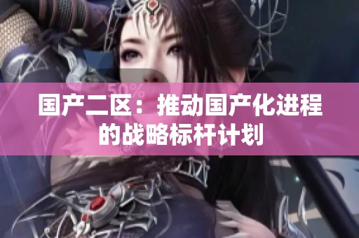 国产二区：推动国产化进程的战略标杆计划
