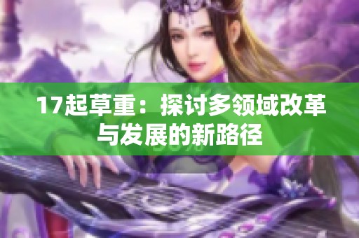 17起草重：探讨多领域改革与发展的新路径