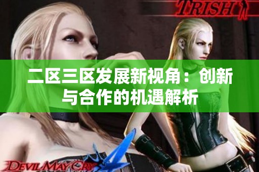 二区三区发展新视角：创新与合作的机遇解析