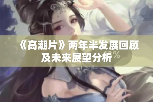 《高潮片》两年半发展回顾及未来展望分析