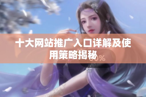 十大网站推广入口详解及使用策略揭秘