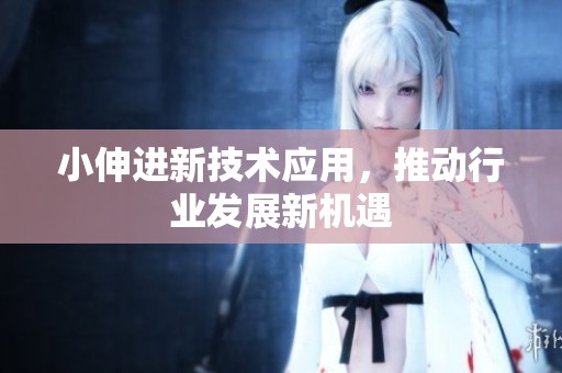 小伸进新技术应用，推动行业发展新机遇