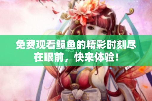 免费观看鲸鱼的精彩时刻尽在眼前，快来体验！