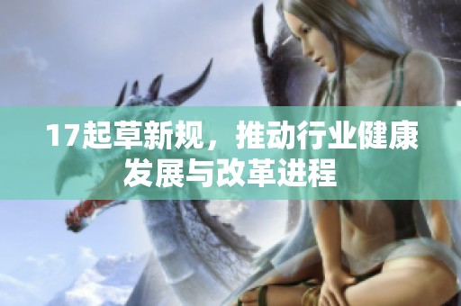 17起草新规，推动行业健康发展与改革进程