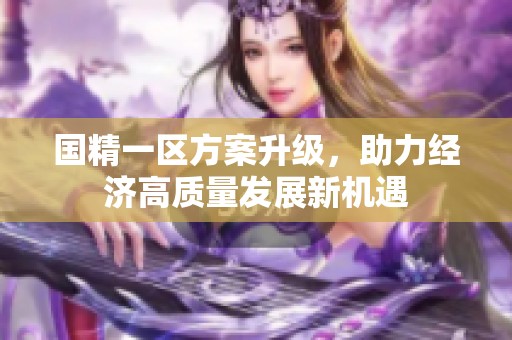 国精一区方案升级，助力经济高质量发展新机遇
