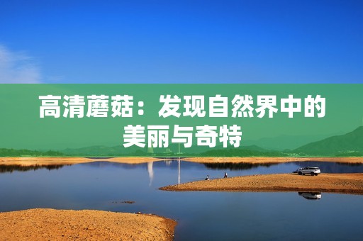 高清蘑菇：发现自然界中的美丽与奇特