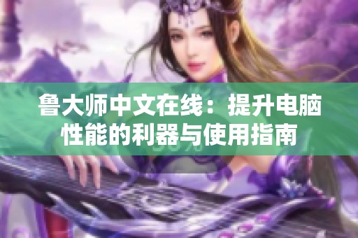 鲁大师中文在线：提升电脑性能的利器与使用指南