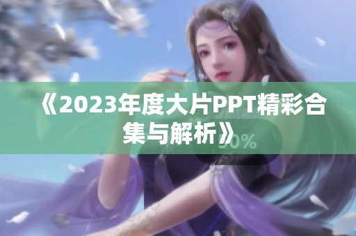 《2023年度大片PPT精彩合集与解析》