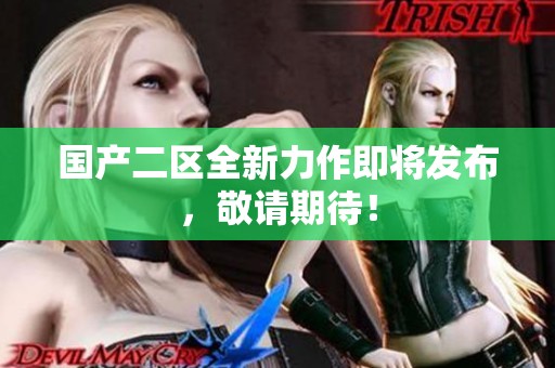 国产二区全新力作即将发布，敬请期待！