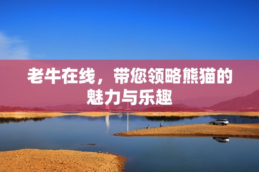 老牛在线，带您领略熊猫的魅力与乐趣