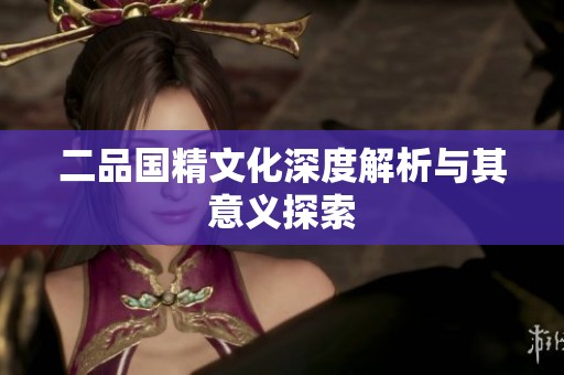二品国精文化深度解析与其意义探索