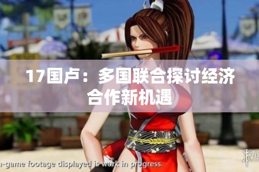 17国卢：多国联合探讨经济合作新机遇
