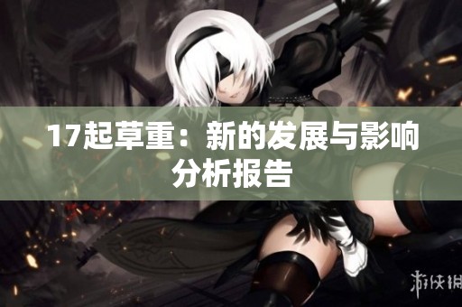 17起草重：新的发展与影响分析报告