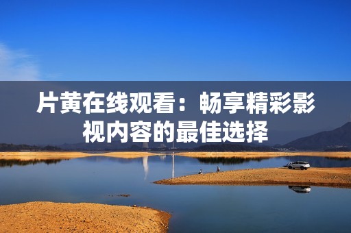片黄在线观看：畅享精彩影视内容的最佳选择