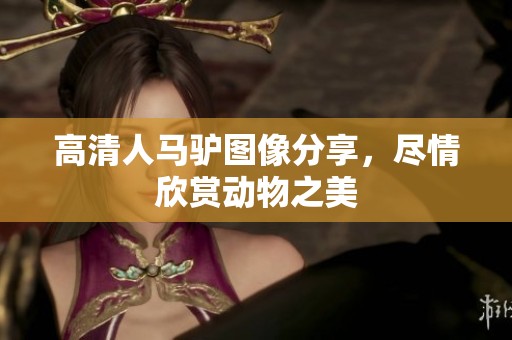 高清人马驴图像分享，尽情欣赏动物之美