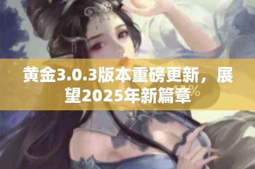 黄金3.0.3版本重磅更新，展望2025年新篇章