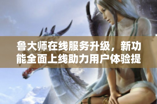 鲁大师在线服务升级，新功能全面上线助力用户体验提升