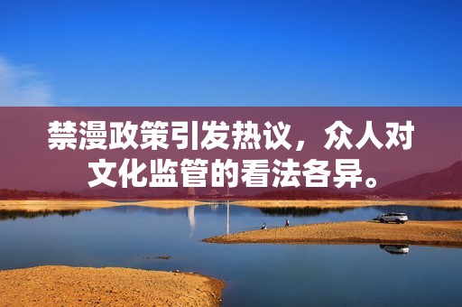 禁漫政策引发热议，众人对文化监管的看法各异。