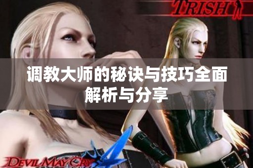 调教大师的秘诀与技巧全面解析与分享