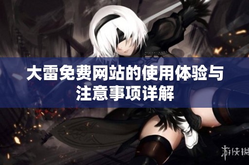 大雷免费网站的使用体验与注意事项详解