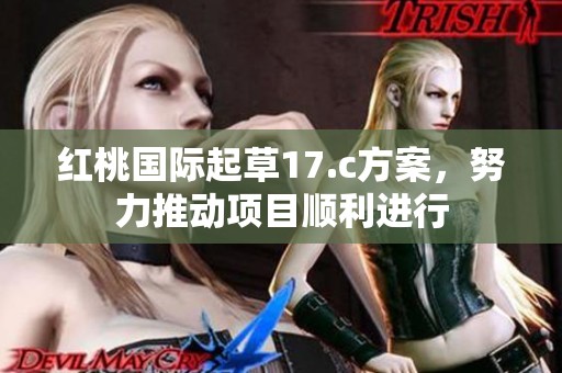 红桃国际起草17.c方案，努力推动项目顺利进行