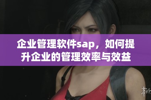企业管理软件sap，如何提升企业的管理效率与效益