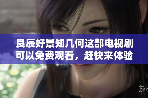 良辰好景知几何这部电视剧可以免费观看，赶快来体验精彩内容吧！