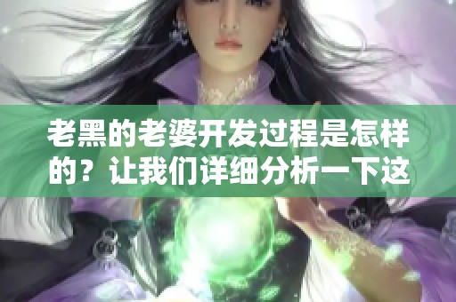 老黑的老婆开发过程是怎样的？让我们详细分析一下这个过程。