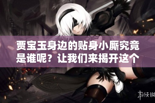 贾宝玉身边的贴身小厮究竟是谁呢？让我们来揭开这个谜团。