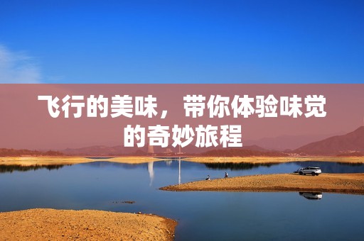 飞行的美味，带你体验味觉的奇妙旅程