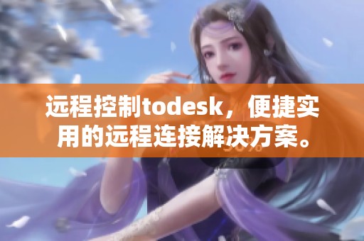 远程控制todesk，便捷实用的远程连接解决方案。