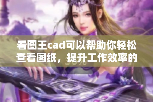 看图王cad可以帮助你轻松查看图纸，提升工作效率的好帮手