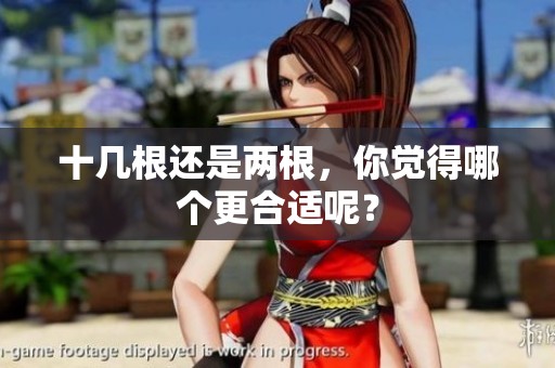 十几根还是两根，你觉得哪个更合适呢？
