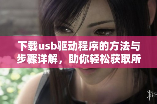 下载usb驱动程序的方法与步骤详解，助你轻松获取所需驱动程序