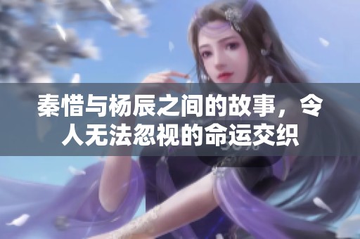 秦惜与杨辰之间的故事，令人无法忽视的命运交织
