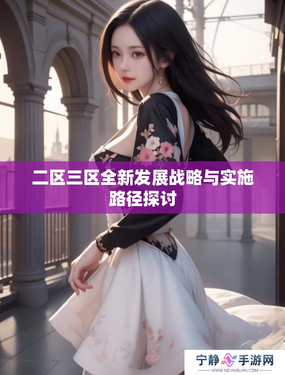 二区三区全新发展战略与实施路径探讨
