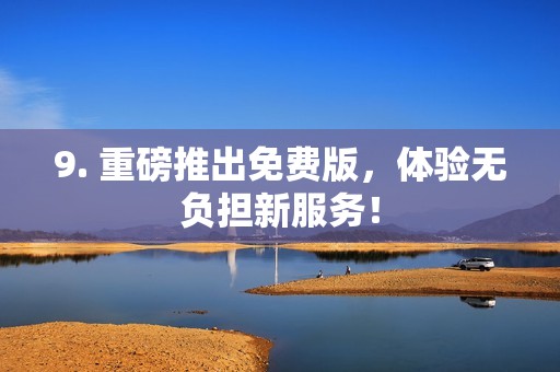 9. 重磅推出免费版，体验无负担新服务！
