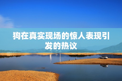 狗在真实现场的惊人表现引发的热议