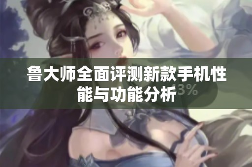 鲁大师全面评测新款手机性能与功能分析