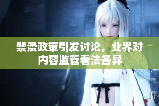 禁漫政策引发讨论，业界对内容监管看法各异